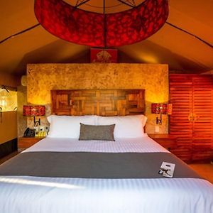 King Room Garden View